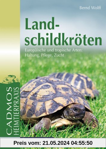 Landschildkröten: Europäische und tropische Arten: Haltung, Pflege, Zucht